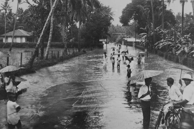 Kerusakan lingkungan